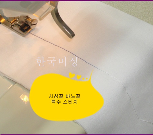버니나리카 026.jpg