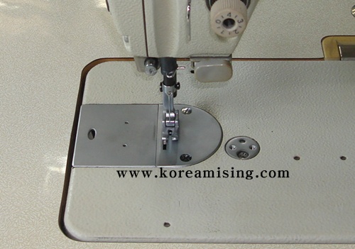 버니 017.jpg