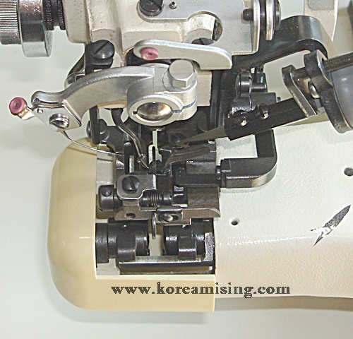bs875 016.jpg