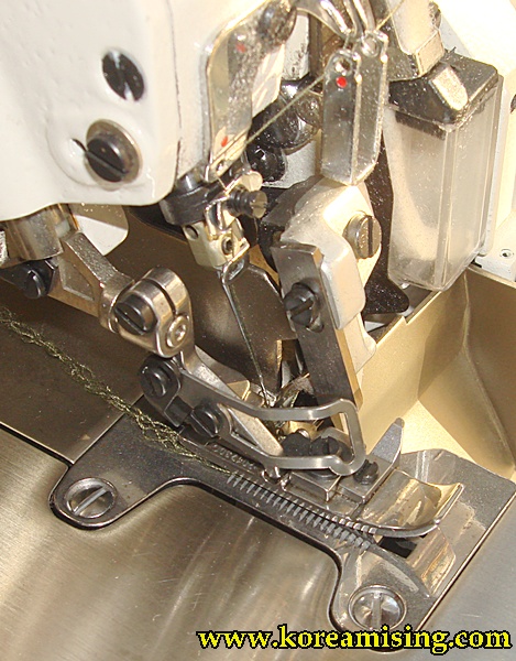 ex8505 008.jpg